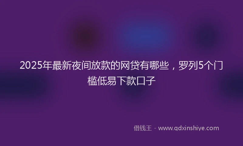 2025年最新夜间放款的网贷有哪些，罗列5个门槛低易下款口子