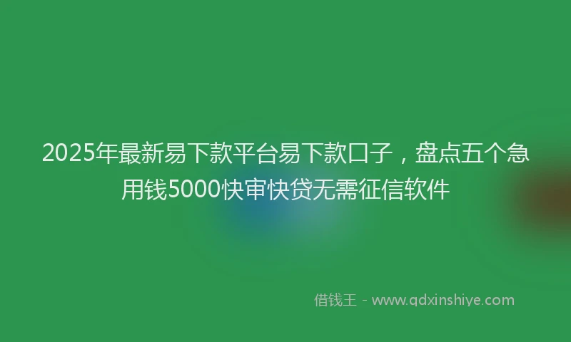 2025年最新易下款平台易下款口子，盘点五个急用钱5000快审快贷无需征信软件