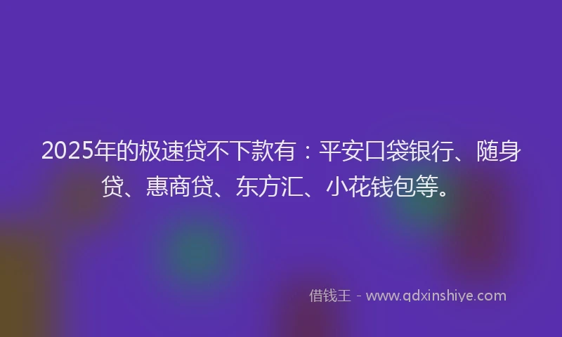 2025年的极速贷不下款有：平安口袋银行、随身贷、惠商贷、东方汇、小花钱包等。