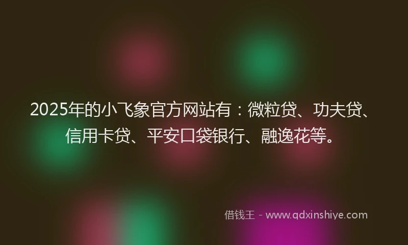 2025年的小飞象官方网站有：微粒贷、功夫贷、信用卡贷、平安口袋银行、融逸花等。