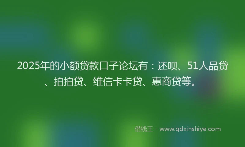 2025年的小额贷款口子论坛有：还呗、51人品贷、拍拍贷、维信卡卡贷、惠商贷等。