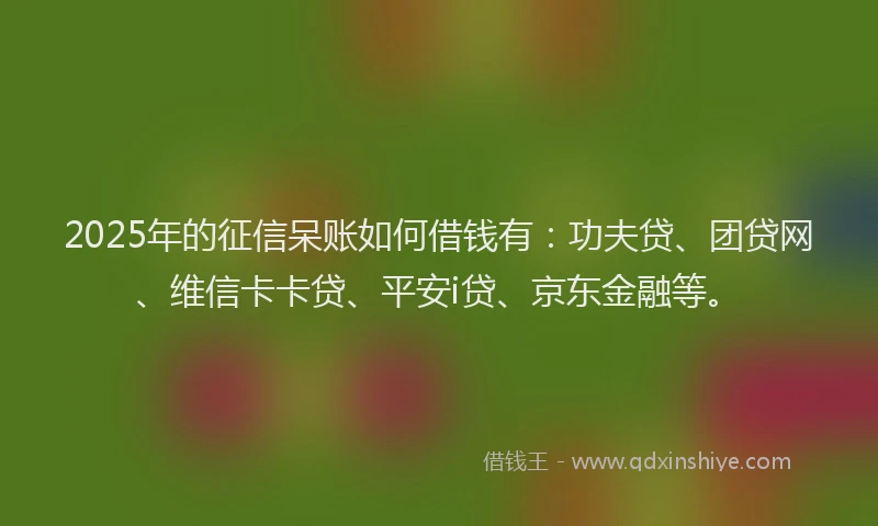 2025年的征信呆账如何借钱有：功夫贷、团贷网、维信卡卡贷、平安i贷、京东金融等。