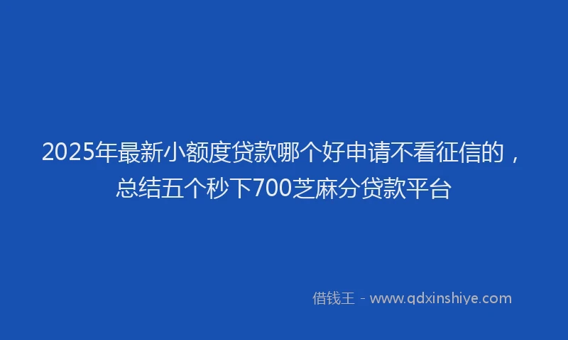 2025年最新小额度贷款哪个好申请不看征信的，总结五个秒下700芝麻分贷款平台