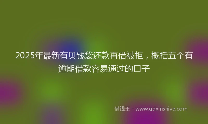 2025年最新有贝钱袋还款再借被拒，概括五个有逾期借款容易通过的口子