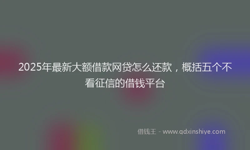 2025年最新大额借款网贷怎么还款，概括五个不看征信的借钱平台