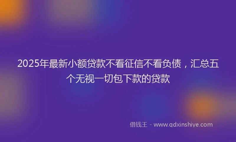 2025年最新小额贷款不看征信不看负债，汇总五个无视一切包下款的贷款