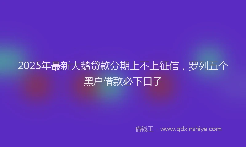 2025年最新大鹅贷款分期上不上征信，罗列五个黑户借款必下口子