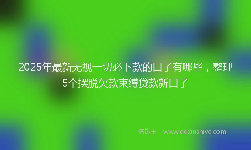 2025年最新无视一切必下款的口子有哪些，整理5个摆脱欠款束缚贷款新口子