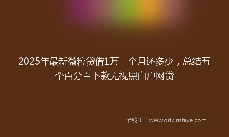 2025年最新微粒贷借1万一个月还多少，总结五个百分百下款无视黑白户网贷