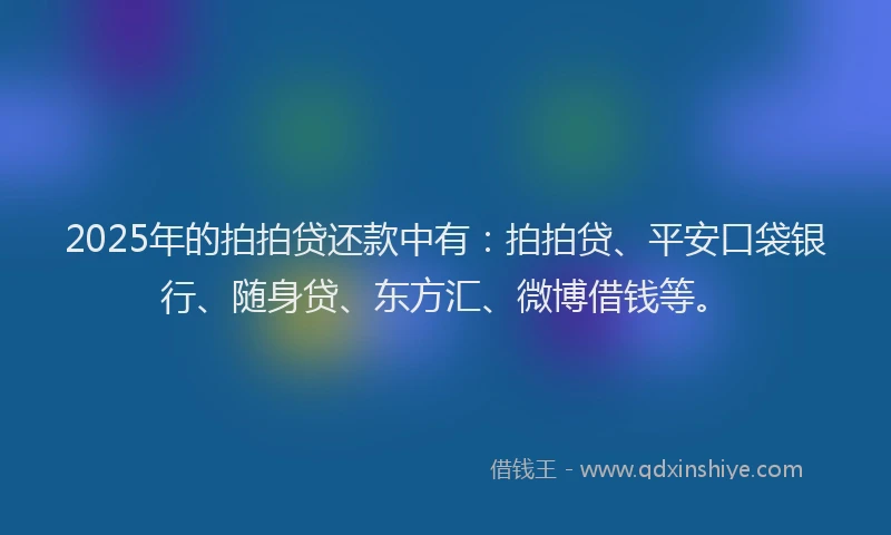 2025年的拍拍贷还款中有：拍拍贷、平安口袋银行、随身贷、东方汇、微博借钱等。
