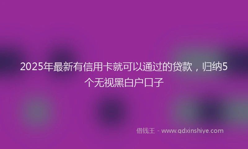 2025年最新有信用卡就可以通过的贷款，归纳5个无视黑白户口子