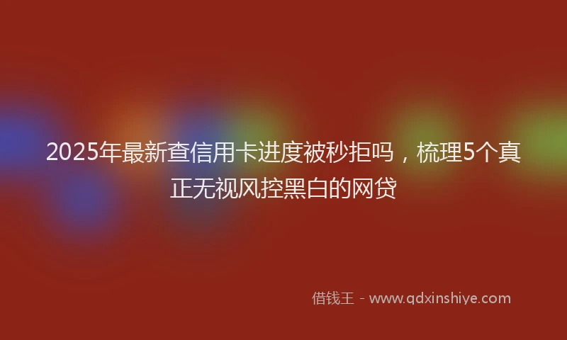 2025年最新查信用卡进度被秒拒吗，梳理5个真正无视风控黑白的网贷