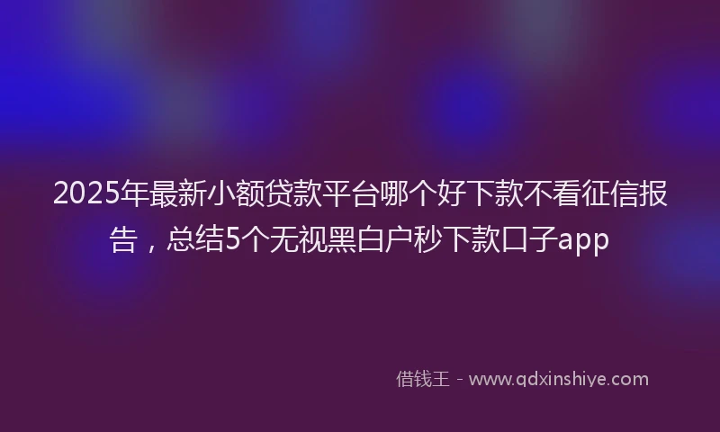 2025年最新小额贷款平台哪个好下款不看征信报告，总结5个无视黑白户秒下款口子app