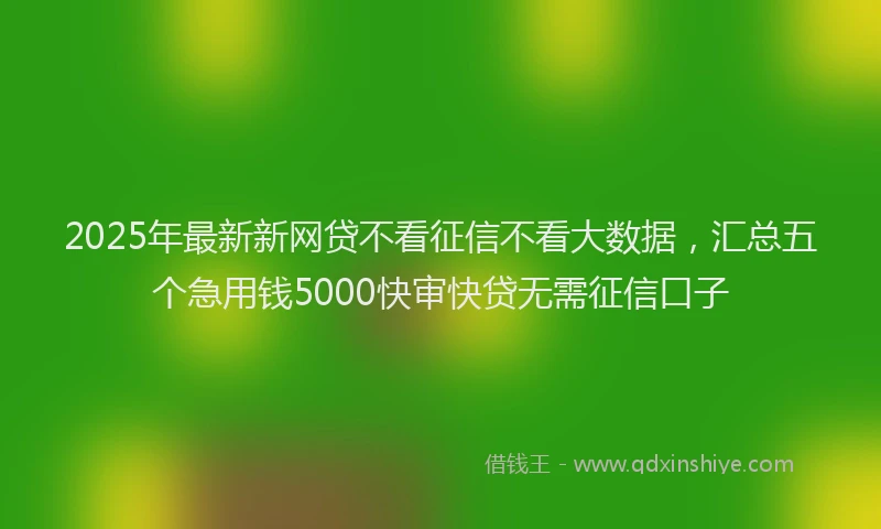 2025年最新新网贷不看征信不看大数据，汇总五个急用钱5000快审快贷无需征信口子
