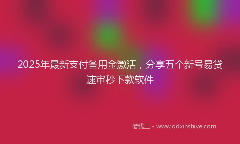2025年最新支付备用金激活，分享五个新号易贷速审秒下款软件