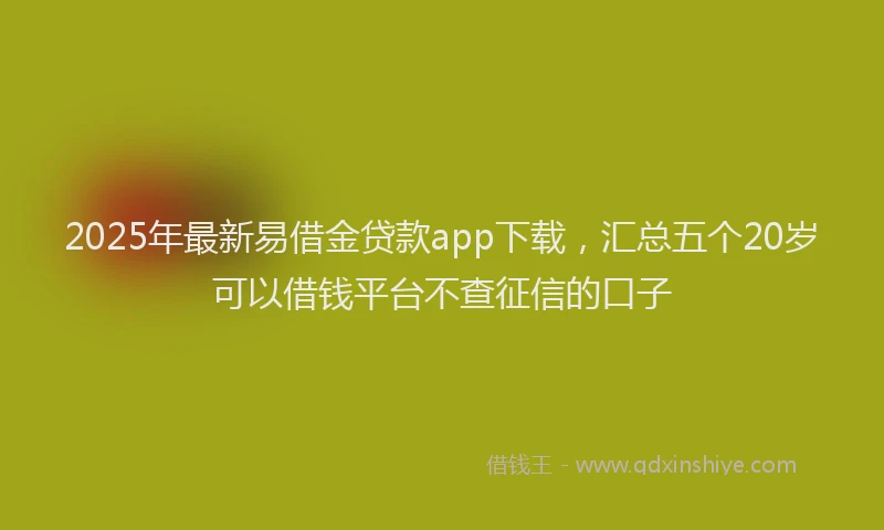 2025年最新易借金贷款app下载，汇总五个20岁可以借钱平台不查征信的口子