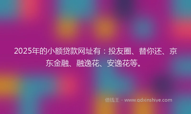 2025年的小额贷款网址有：投友圈、替你还、京东金融、融逸花、安逸花等。