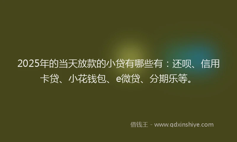 2025年的当天放款的小贷有哪些有：还呗、信用卡贷、小花钱包、e微贷、分期乐等。