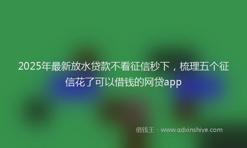 2025年最新放水贷款不看征信秒下，梳理五个征信花了可以借钱的网贷app