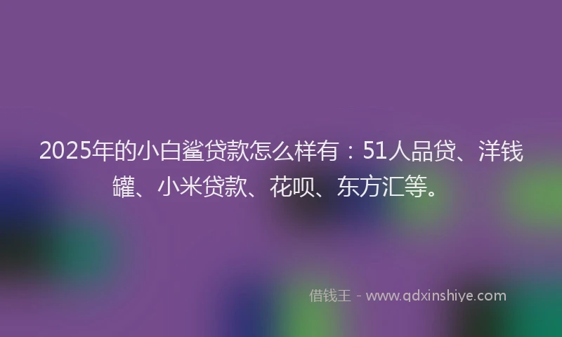 2025年的小白鲨贷款怎么样有：51人品贷、洋钱罐、小米贷款、花呗、东方汇等。
