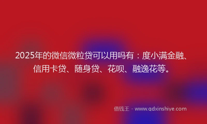 2025年的微信微粒贷可以用吗有：度小满金融、信用卡贷、随身贷、花呗、融逸花等。