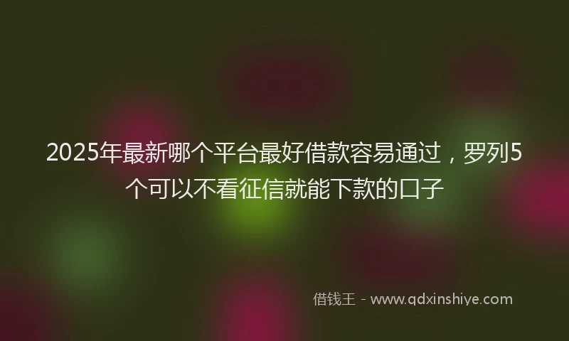 2025年最新哪个平台最好借款容易通过，罗列5个可以不看征信就能下款的口子
