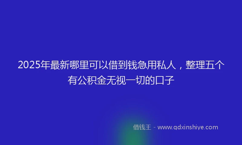 2025年最新哪里可以借到钱急用私人，整理五个有公积金无视一切的口子