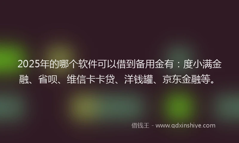 2025年的哪个软件可以借到备用金有：度小满金融、省呗、维信卡卡贷、洋钱罐、京东金融等。