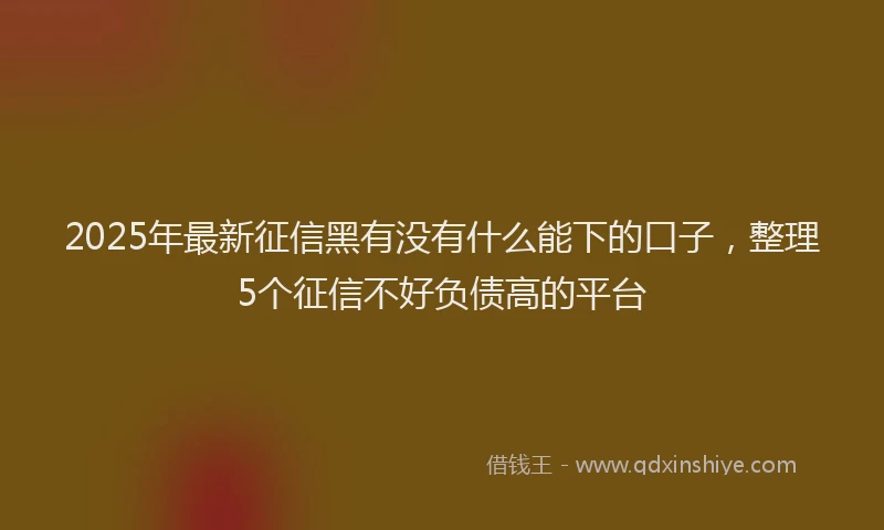 2025年最新征信黑有没有什么能下的口子，整理5个征信不好负债高的平台