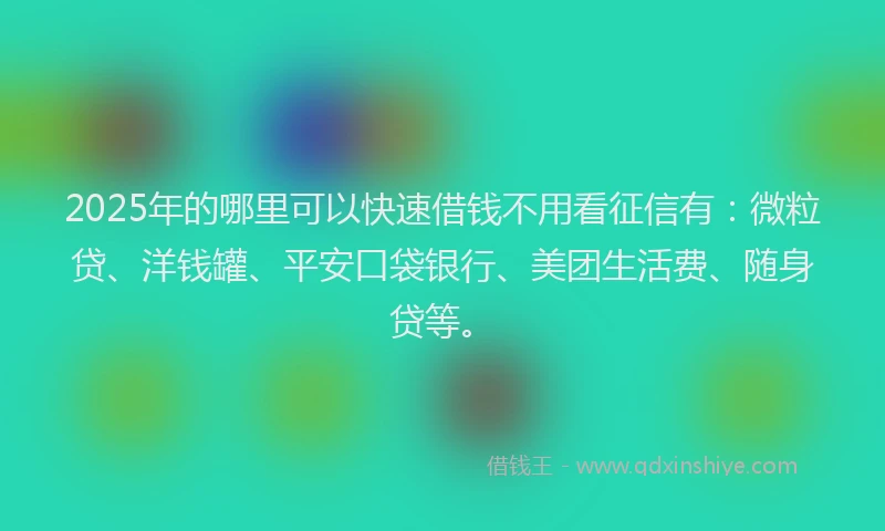 2025年的哪里可以快速借钱不用看征信有：微粒贷、洋钱罐、平安口袋银行、美团生活费、随身贷等。