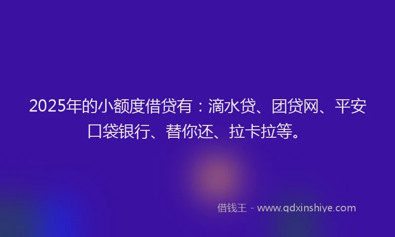 2025年的小额度借贷有：滴水贷、团贷网、平安口袋银行、替你还、拉卡拉等。