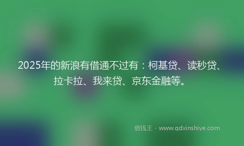 2025年的新浪有借通不过有：柯基贷、读秒贷、拉卡拉、我来贷、京东金融等。