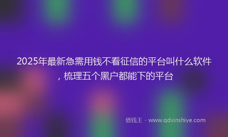 2025年最新急需用钱不看征信的平台叫什么软件，梳理五个黑户都能下的平台