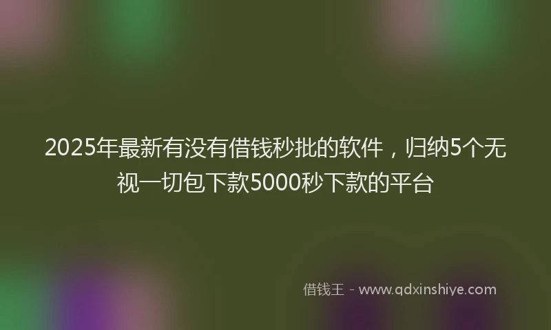 2025年最新有没有借钱秒批的软件，归纳5个无视一切包下款5000秒下款的平台