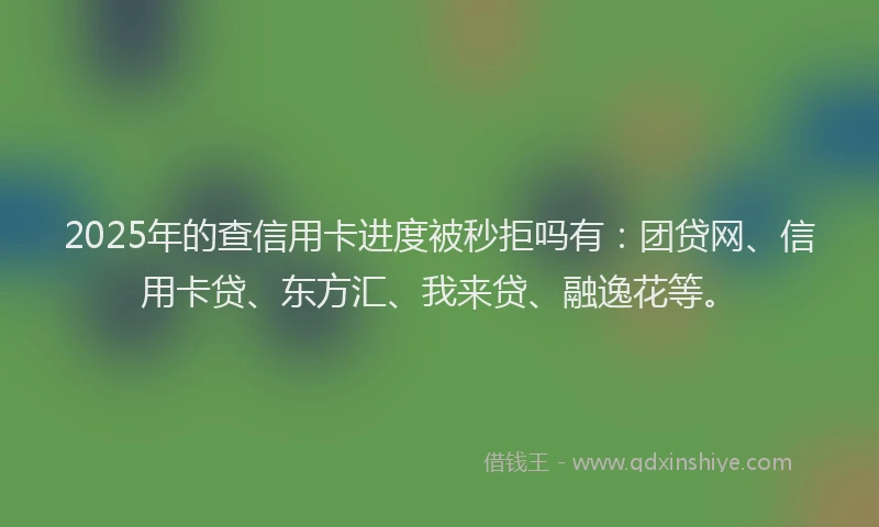 2025年的查信用卡进度被秒拒吗有:团贷网、信用卡贷、东方汇、我来贷、融逸花等。