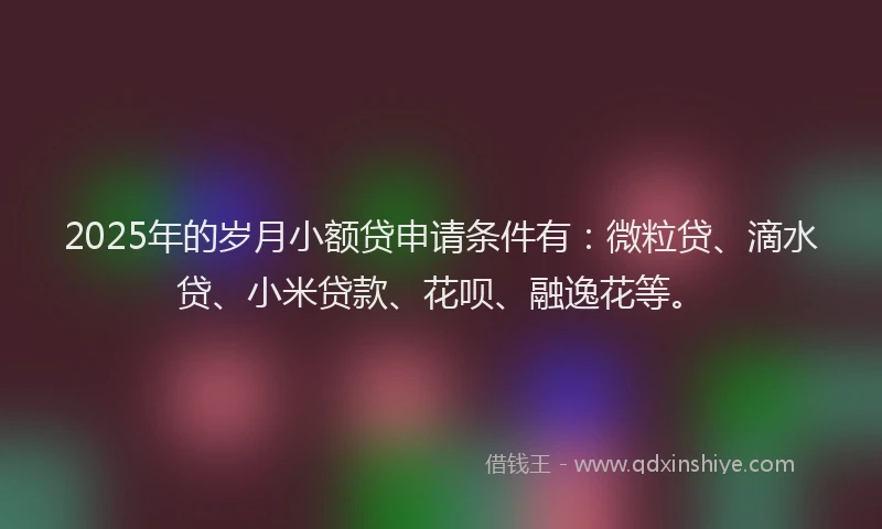 2025年的岁月小额贷申请条件有：微粒贷、滴水贷、小米贷款、花呗、融逸花等。