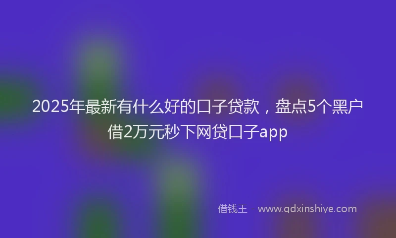2025年最新有什么好的口子贷款，盘点5个黑户借2万元秒下网贷口子app