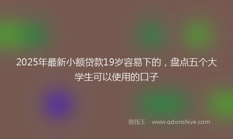 2025年最新小额贷款19岁容易下的，盘点五个大学生可以使用的口子