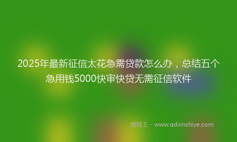 2025年最新征信太花急需贷款怎么办，总结五个急用钱5000快审快贷无需征信软件