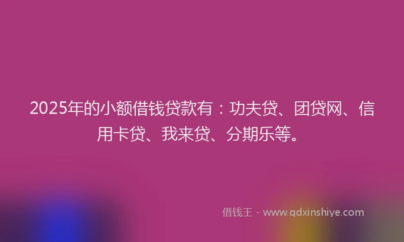 2025年的小额借钱贷款有：功夫贷、团贷网、信用卡贷、我来贷、分期乐等。