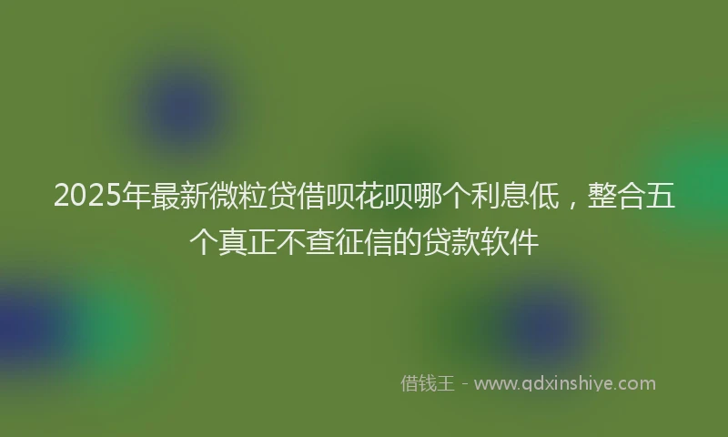2025年最新微粒贷借呗花呗哪个利息低，整合五个真正不查征信的贷款软件