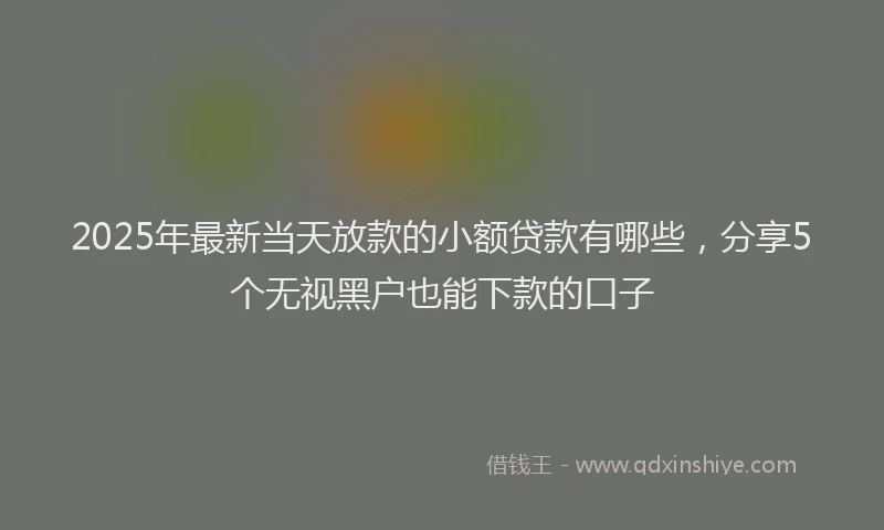 2025年最新当天放款的小额贷款有哪些，分享5个无视黑户也能下款的口子