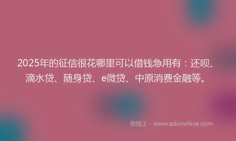 2025年的征信很花哪里可以借钱急用有：还呗、滴水贷、随身贷、e微贷、中原消费金融等。