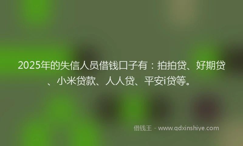 2025年的失信人员借钱口子有：拍拍贷、好期贷、小米贷款、人人贷、平安i贷等。