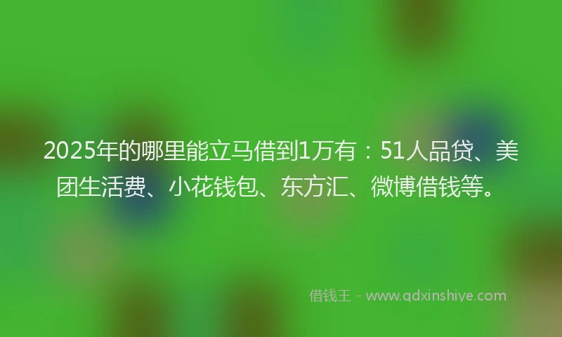 2025年的哪里能立马借到1万有：51人品贷、美团生活费、小花钱包、东方汇、微博借钱等。
