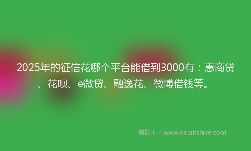 2025年的征信花哪个平台能借到3000有：惠商贷、花呗、e微贷、融逸花、微博借钱等。