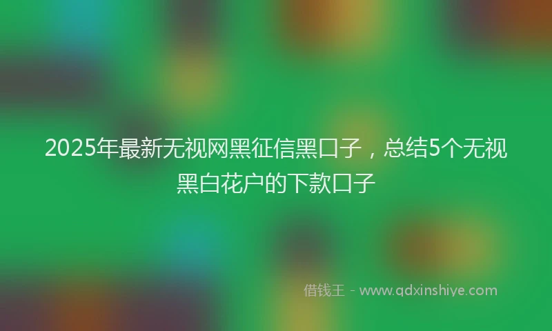 2025年最新无视网黑征信黑口子，总结5个无视黑白花户的下款口子