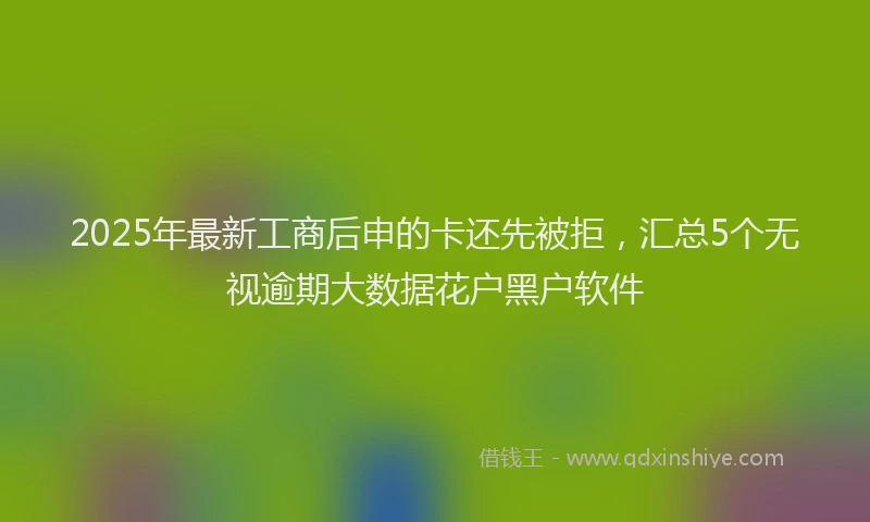 2025年最新工商后申的卡还先被拒，汇总5个无视逾期大数据花户黑户软件
