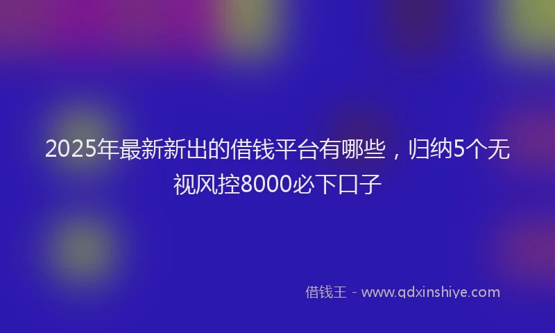 2025年最新新出的借钱平台有哪些，归纳5个无视风控8000必下口子
