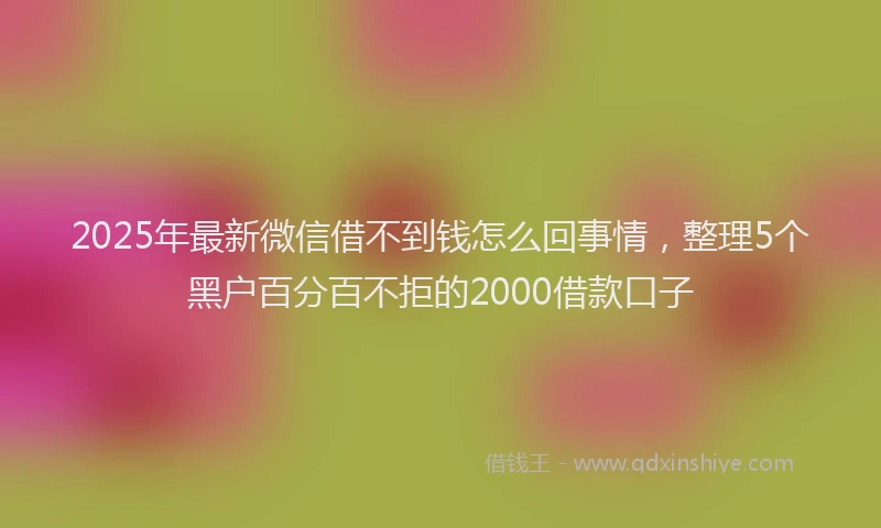 2025年最新微信借不到钱怎么回事情，整理5个黑户百分百不拒的2000借款口子